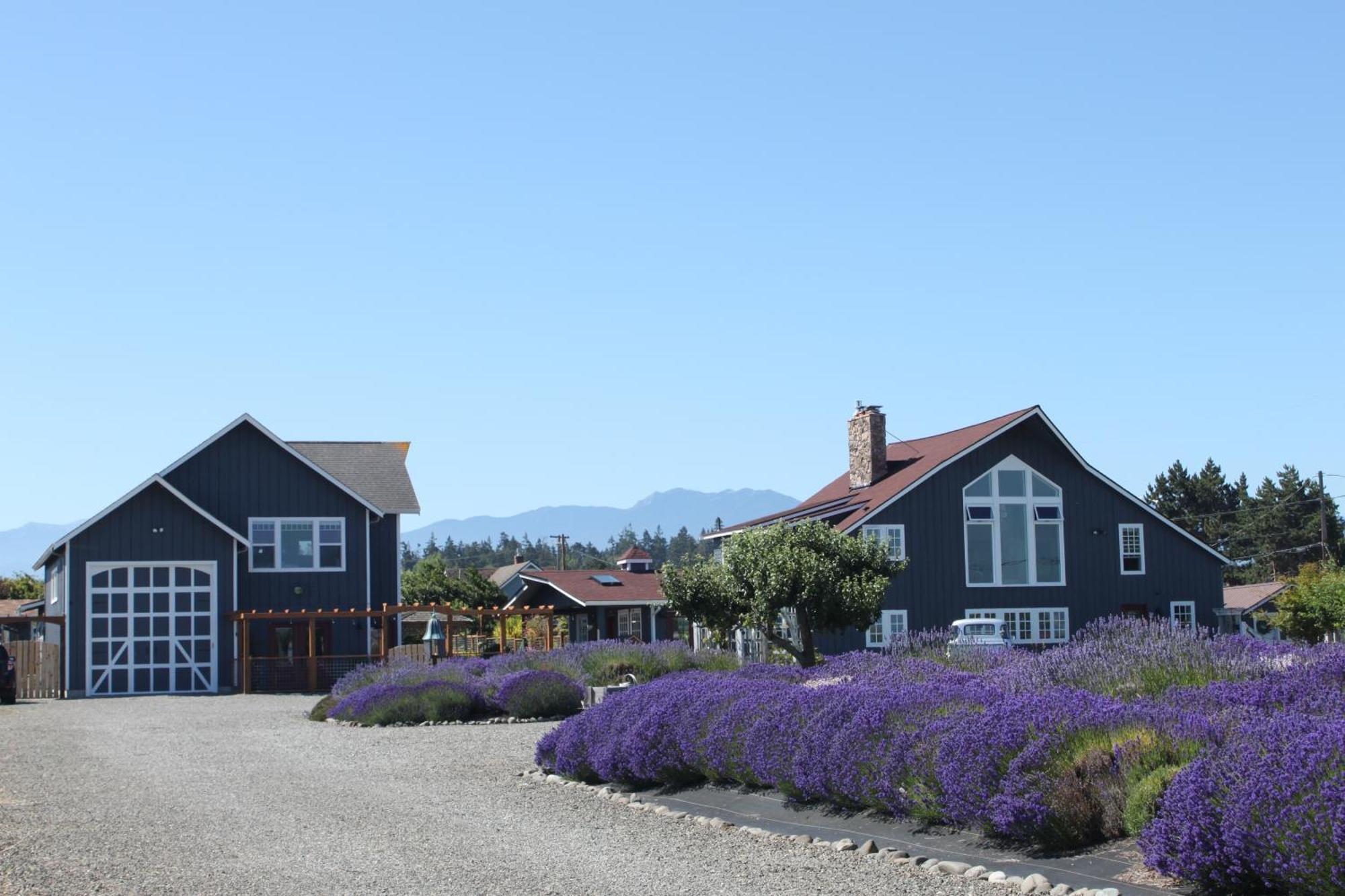 Dungeness Barn House Bed And Breakfast At Two Crows Farm 세킴 외부 사진