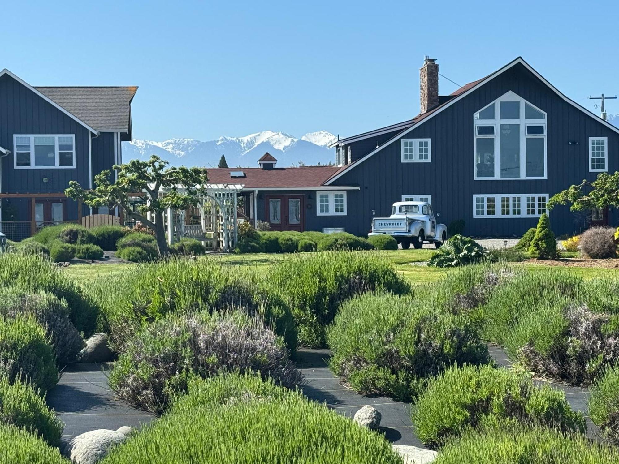 Dungeness Barn House Bed And Breakfast At Two Crows Farm 세킴 외부 사진