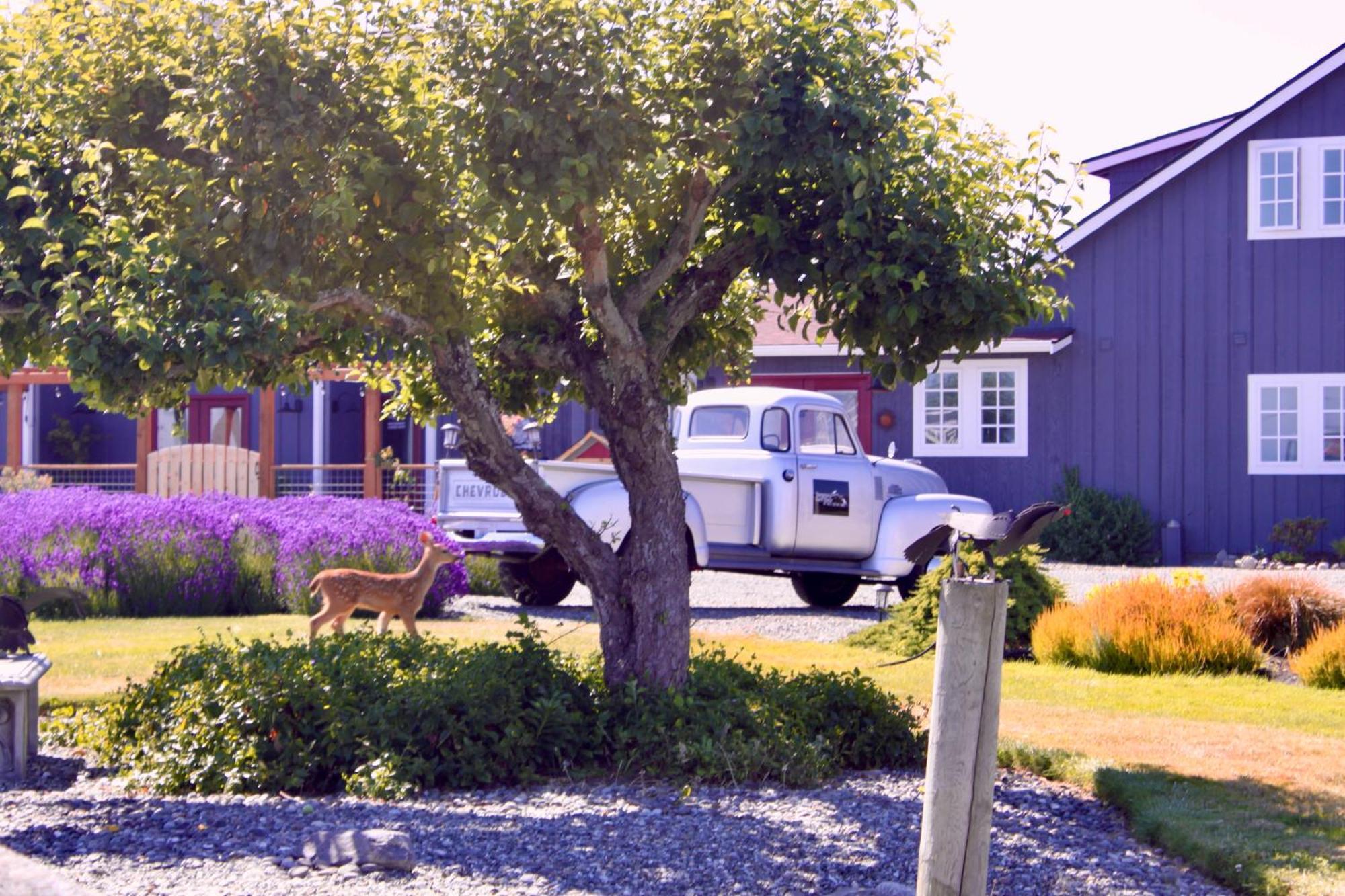 Dungeness Barn House Bed And Breakfast At Two Crows Farm 세킴 외부 사진