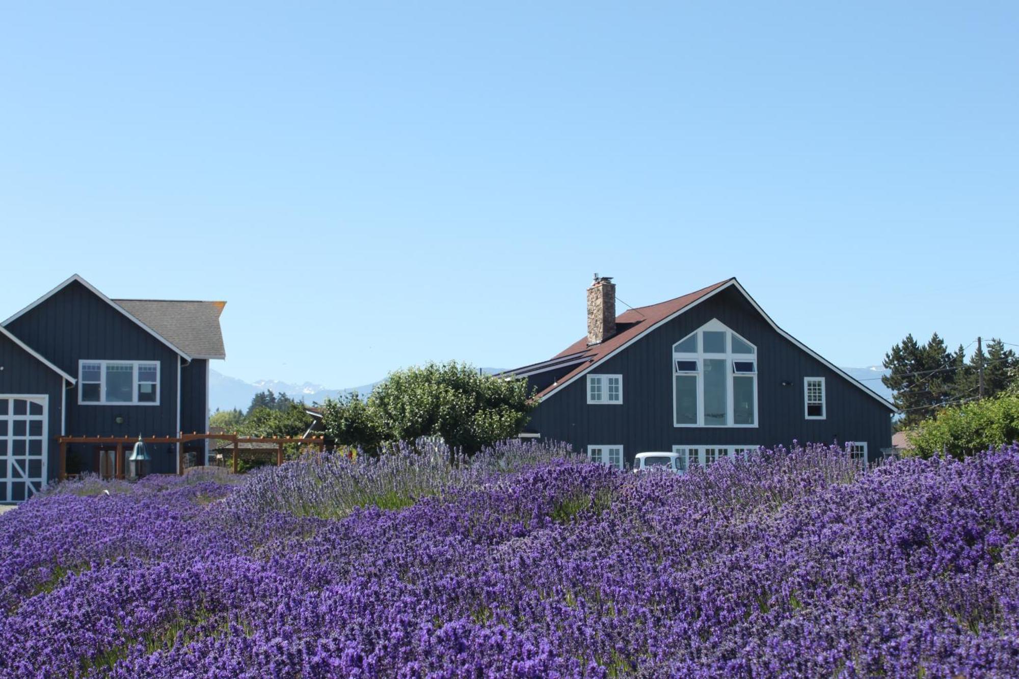 Dungeness Barn House Bed And Breakfast At Two Crows Farm 세킴 외부 사진